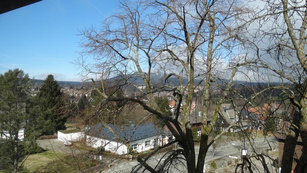 Bergziege Apartamento Braunlage Exterior foto